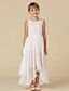 cheap Flower Girl Dresses-A-Line Ankle Length Flower Girl Dress Holiday Cute Prom Dress Chiffon with Lace Fit 3-16 Years