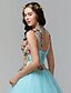 cheap Special Occasion Dresses-Ball Gown High Neck Floor Length Lace / Tulle Open Back Formal Evening Dress with Embroidery by TS Couture®