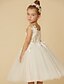 cheap Flower Girl Dresses-Princess Knee Length Flower Girl Dress Wedding Cute Prom Dress Lace with Crystal Fit 3-16 Years