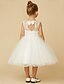 cheap Flower Girl Dresses-Princess Tea Length Flower Girl Dress First Communion Cute Prom Dress Lace with Sash / Ribbon Fit 3-16 Years