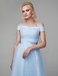 cheap Prom Dresses-A-Line Minimalist Dress Prom Floor Length Short Sleeve Off Shoulder Tulle with Ruched 2022 / Formal Evening