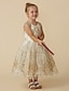 cheap Flower Girl Dresses-Princess Knee Length Flower Girl Dress Wedding Cute Prom Dress Lace with Belt Fit 3-16 Years