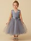 cheap Flower Girl Dresses-Princess Tea Length Flower Girl Dress - Satin / Tulle Sleeveless V Neck with Sash / Ribbon / Bow(s) / Pleats