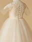 Χαμηλού Κόστους Λουλουδάτα φορέματα για κορίτσια-Γραμμή Α Ουρά Φόρεμα για Κοριτσάκι Λουλουδιών Γάμου Χαριτωμένο φόρεμα χορού Τούλι με Διακοσμητικά Επιράμματα Κατάλληλο 3-16 ετών