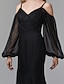 זול שמלות ערב-בתולת ים \ חצוצרה סגנון של מפורסמים אלגנטית ערב רישמי שמלה רצועות ספגטי שרוול ארוך שובל קורט שיפון תחרה עם קפלים אפליקציות 2021