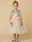 זול שמלות לילדות פרחים-נסיכה באורך הקרסול שמלה לנערת הפרחים  תחרות שמלת נשף חמודה טול עם נצנצים מתאים 3-16 שנים