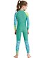 cheap Rash Guards-Dive&amp;Sail Boys Girls&#039; Rash Guard Dive Skin Suit UV Sun Protection UPF50+ Breathable Full Body Swimsuit Front Zip Swimming Diving Surfing Snorkeling Cartoon Spring, Fall, Winter, Summer / Stretchy