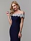 cheap Special Occasion Dresses-Sheath / Column Special Occasion Dresses Elegant Dress Prom Formal Evening Floor Length Short Sleeve Off Shoulder Lace with Appliques 2024