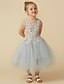 זול שמלות לילדות פרחים-נסיכה באורך הקרסול שמלה לנערת הפרחים  תחרות שמלת נשף חמודה טול עם תחרה מתאים 3-16 שנים