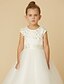 cheap Flower Girl Dresses-Princess Ankle Length Flower Girl Dress - Satin / Tulle Short Sleeve Jewel Neck with Appliques / Bow(s) / Lace by LAN TING BRIDE® / First Communion