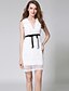 cheap Women&#039;s Dresses-Women&#039;s Holiday / Going out Sophisticated / Elegant Slim Sheath Dress - Solid Colored Lace / Bow High Waist Deep V Summer White S M L / Sexy