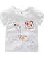 billige Tøjsæt til babypiger-Baby Pige Basale Daglig Blomstret Kortærmet Normal Tøjsæt Hvid