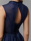 זול שמלות לאירועים מיוחדים-גזרת A אלגנטית שמלה נשף רקודים א-סימטרי ללא שרוולים צווארון V תחרה עם פפיון(ים) חרוזים 2022