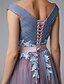 cheap Prom Dresses-A-Line Color Block Dress Prom Formal Evening Floor Length Sleeveless Off Shoulder Lace V Back with Sash / Ribbon Appliques 2024