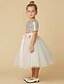 זול שמלות לילדות פרחים-נסיכה באורך הקרסול שמלה לנערת הפרחים  תחרות שמלת נשף חמודה טול עם נצנצים מתאים 3-16 שנים