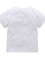 baratos T-shirts e blusas-Infantil / Bébé Para Meninas Activo / Básico Para Noite Estampado Estampado Manga Curta Curto Algodão Camiseta