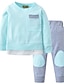 billige Tøjsæt til babypiger-Baby Pige Afslappet Daglig Ensfarvet Patchwork Langærmet Normal Tøjsæt Lyserød