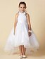 preiswerte Kleider für die Blumenmädchen-A-Linie Asymmetrisch Blumenmädchenkleid Hochzeit Süßes Ballkleid Organza mit Schleife(n) Fit 3-16 Jahre