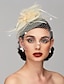 ieftine Pălării &amp; Fascinatoare-Palarioare Accesoriu de Păr Pană Nuntă Kentucky Derby Elegant și luxos Cu Pene Diadema Articole Pentru Cap