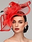 Χαμηλού Κόστους Καπέλα και Διακοσμητικά-Καπέλο Ντέρμπι Γοητευτικά Καπέλα Φτερό Δίχτυ Ιπποδρομία Ημέρα της Γυναίκας Λουλούδια Με Φτερό Ακουστικό Καπέλα