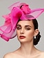 זול כובעים וקישוטי שיער-פרחים עור / רשת קנטקי דרבי כובע / מפגשים / אביזר לשיער עם נוצות / פרחוני / פרח 1 pc מירוץ סוסים / יום הנשים כיסוי ראש