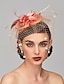 levne Klobouky a fascinátory-Fascinátory Vlasové ozdoby Peří Svatební Kentucky Derby Elegantní &amp; luxusní S Peří Přílba Pokrývky Hlavy