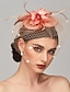 economico Cappelli e copricapo-fascinators Accessori per capelli Pelle Matrimonio Kentucky Derby Elegante Con Piume Copricapo Copricapo