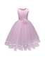 cheap Girls&#039; Dresses-Kids Little Dress Girls&#039; Solid Colored Flower Daily Tulle Dress Layered Lace White Purple Red Sleeveless Basic Dresses 3-12 Years