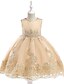 billiga Brudnäbbsklänningar-Princess Tea Length Flower Girl Dress Pageant &amp; Performance Cute Prom Dress Tulle with Sash / Ribbon Fit 3-16 Years