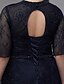 cheap Evening Dresses-A-Line Plus Size Wedding Guest Formal Evening Dress V Neck Lace-up Half Sleeve Floor Length Lace with Beading 2022