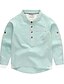 ieftine Футболки и рубашки-Kids Boys&#039; Basic Daily Solid Colored Long Sleeve Cotton Shirt Blue