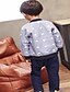 baratos Conjuntos de roupa de bebé meninos-Baby Boys&#039; Basic Daily Solid Colored Long Sleeve Regular Regular Cotton Clothing Set Blue