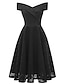 Χαμηλού Κόστους Vintage Φορέματα-Γυναικεία Φόρεμα Μίντι φόρεμα Ανοικτό Βυσσινί Μαύρο Αμάνικο Μονόχρωμες Δαντέλα Άνοιξη Καλοκαίρι Ώμοι Έξω Δεκαετία του 1950 Πάρτι 2022 Τ M L XL XXL 3XL