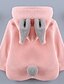 cheap Outerwear-Toddler Girls&#039; Active Daily Color Block Long Sleeve Regular Jacket &amp; Coat Blushing Pink