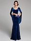 cheap Mother of the Bride Dresses-Mermaid / Trumpet Mother of the Bride Dress Vintage Plus Size Sexy Scoop Neck Sweep / Brush Train Velvet Long Sleeve with Pleats 2024