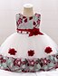 preiswerte Kleider für Babys-Baby Girls&#039; Active / Basic Party / Birthday Floral Lace Sleeveless Knee-length Cotton Dress Wine