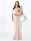 cheap Prom Dresses-Sheath / Column Elegant Dress Wedding Guest Prom Floor Length Sleeveless Halter Neck Spandex Crisscross Back with Beading