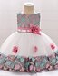 preiswerte Kleider für Babys-Baby Girls&#039; Active / Basic Party / Birthday Floral Lace Sleeveless Knee-length Cotton Dress Wine