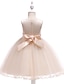 halpa Платья-Kids Little Girls&#039; Dress Solid Colored Party Holiday Blushing Pink Gray Red Knee-length Sleeveless Active Sweet Dresses Spring Summer Slim