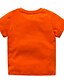 abordables Prendas superiores de bebé niño-Bebé Chico Básico Un Color Manga Corta Camiseta Naranja