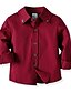 cheap Sets-Kids Boys&#039; Clothing Set Long Sleeve Red Solid Colored Daily Basic