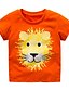 tanie Topy dziecięce dla chłopców-Dziecko Dla chłopców Podstawowy Solidne kolory Krótki rękaw T-shirt Pomarańczowy / Brzdąc