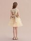 levne Blomsterpigekjoler-A-Line Knee Length Flower Girl Dress Christmas Cute Prom Dress Tulle with Belt Fit 3-16 Years