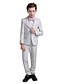 cheap Ring Bearer Suits-Silver Polyester Taffeta Ring Bearer Suit - 5 Pieces Includes  Vest