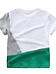 voordelige Babykleding tops jongens-Baby Jongens Standaard Print Korte mouw T-shirt Wit / Peuter