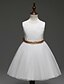 Χαμηλού Κόστους Βρεφικά Φορέματα για Κορίτσια-Μωρό Κοριτσίστικα Βασικό Μονόχρωμο Αμάνικο Φόρεμα Λευκό / Νήπιο