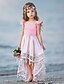 Χαμηλού Κόστους Βρεφικά Φορέματα για Κορίτσια-Μωρό Κοριτσίστικα Βασικό Μονόχρωμο Αμάνικο Φόρεμα Ανθισμένο Ροζ / Νήπιο