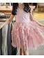 Χαμηλού Κόστους Φορέματα-Κορίτσια » Αμάνικο Μονόχρωμο Τρισδιάστατα τυπωμένα γραφικά Φορέματα Ενεργό Γλυκός Βαμβάκι Πολυεστέρας Φόρεμα Dusty Rose Παιδιά Νήπιο Δαντέλα Πολυεπίπεδο