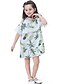 cheap Dresses-Girls&#039; Short Sleeve Floral 3D Printed Graphic Dresses Boho Knee-length Polyester Dress Kids Regular Fit Tassel Fringe