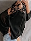 cheap Women&#039;s Blouses &amp; Shirts-Women&#039;s Shirt Going Out Tops Blouse Concert Tops Black White Plain Solid Colored Lace Mesh Long Sleeve Street V Neck Loose Fit S